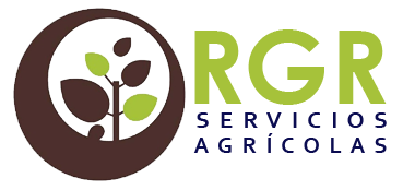 Servicios RGR